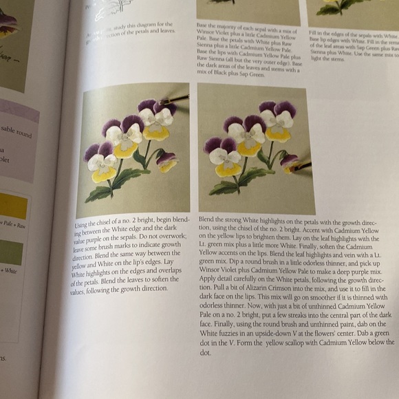 Painting Flowers A to Z with Sherry C. Nelson MDA - Picture 11 of 16